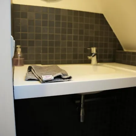 De Elysium 4-persoons Met Bubbelbad Binnen En Buiten Hotspring Bad, Sauna, Sunshower, Stadstuin, Wifi Semesterbostad *