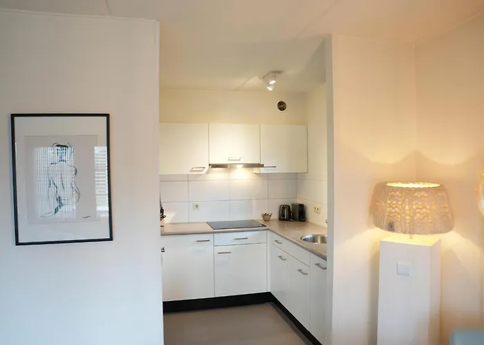 De Elysium 4-persoons Met Bubbelbad Binnen En Buiten Hotspring Bad, Sauna, Sunshower, Stadstuin, Wifi *