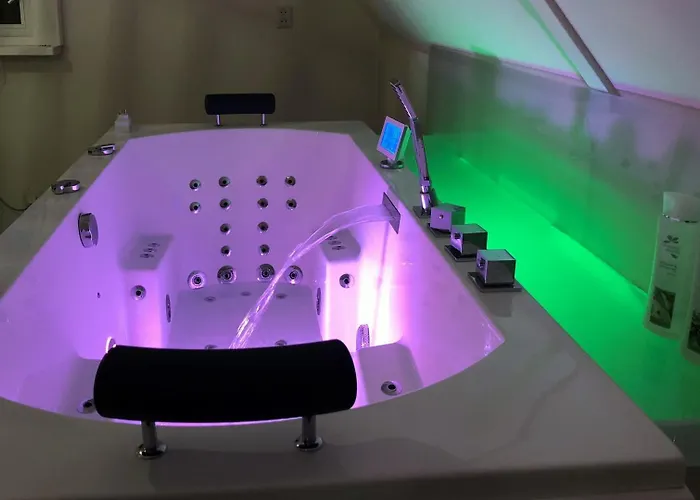 Semesterbostad De Elysium 4-persoons Met Bubbelbad Binnen En Buiten Hotspring Bad, Sauna, Sunshower, Stadstuin, Wifi *