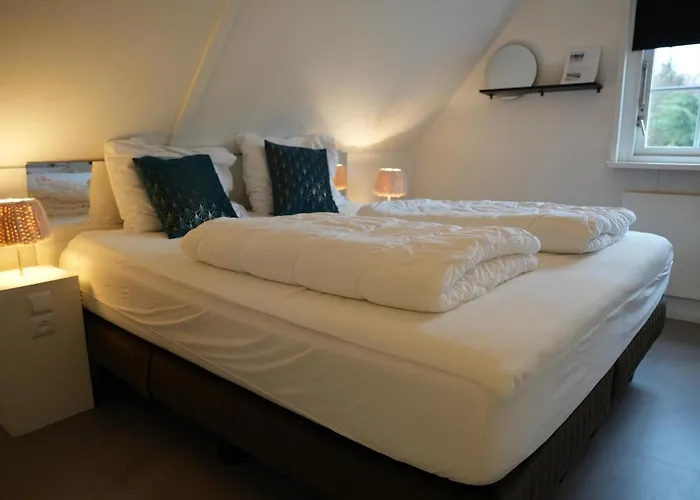 De Elysium 4-persoons Met Bubbelbad Binnen En Buiten Hotspring Bad, Sauna, Sunshower, Stadstuin, Wifi Semesterbostad