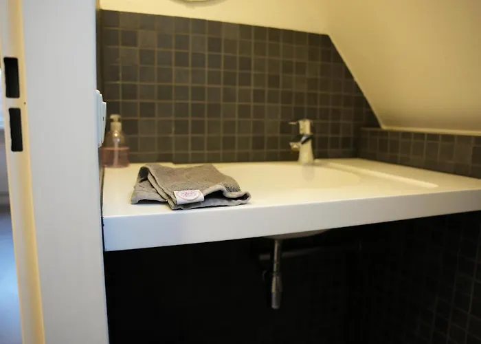 De Elysium 4-persoons Met Bubbelbad Binnen En Buiten Hotspring Bad, Sauna, Sunshower, Stadstuin, Wifi Semesterbostad *