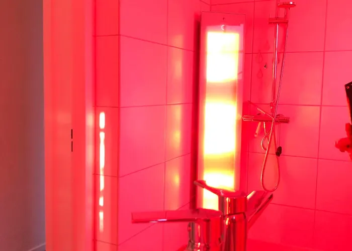 De Elysium 4-persoons Met Bubbelbad Binnen én Buiten Hotspring Bad, Sauna, Sunshower, Stadstuin, Wifi Сasa de vacaciones